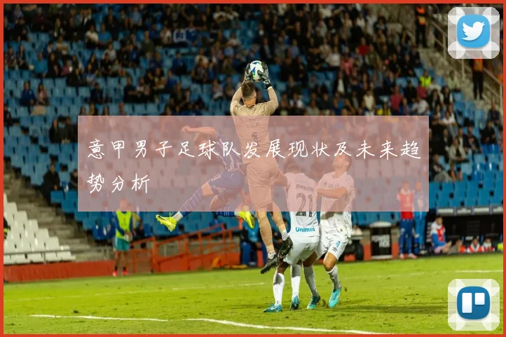 意甲男子足球队发展现状及未来趋势分析