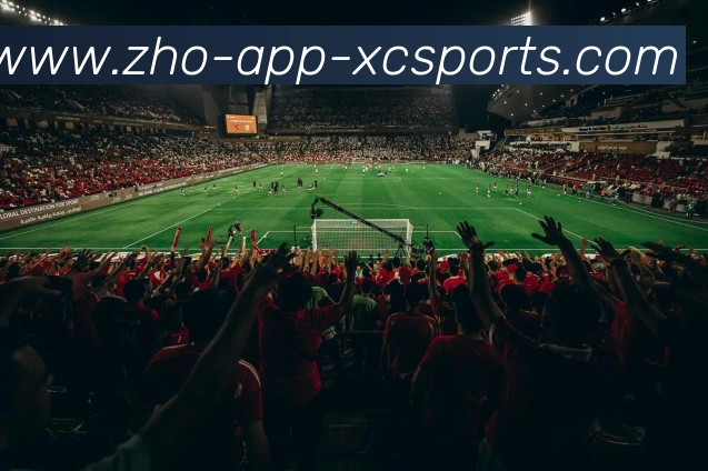 杏彩体育APP 体育赛事宣传图