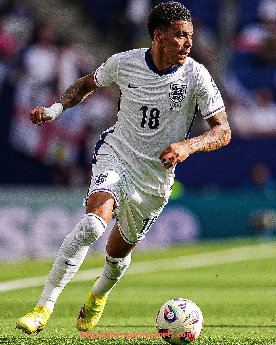 杏彩体育-德甲球队文案创作的温柔风格与球迷联系